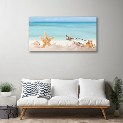 Slika na platnu Starfish školjke beach