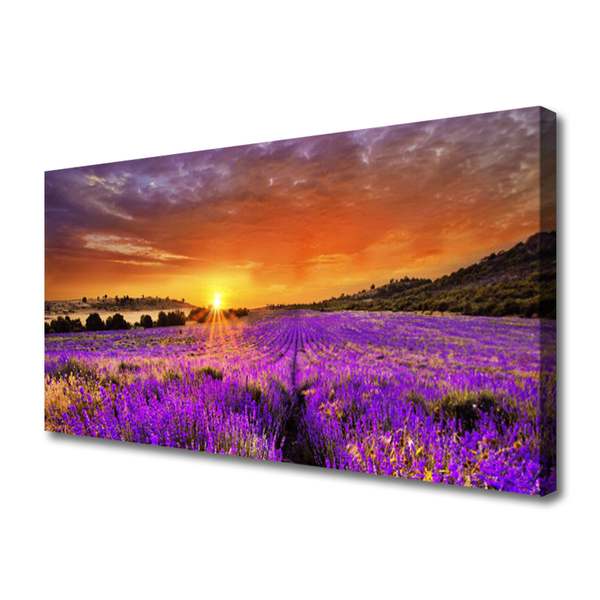 Slika na platnu Sunset lavender polje