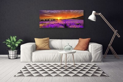Slika na platnu Sunset lavender polje