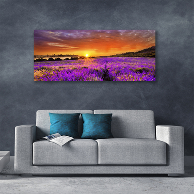 Slika na platnu Sunset lavender polje