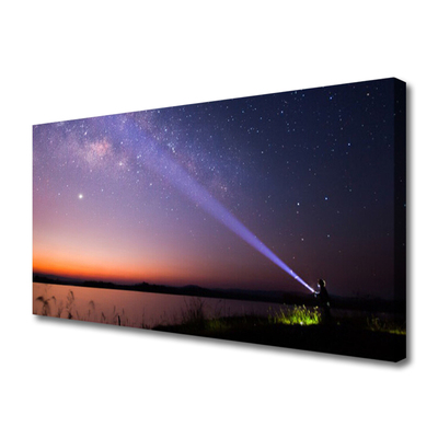 Slika na platnu Star night milky way