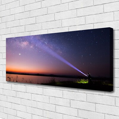 Slika na platnu Star night milky way