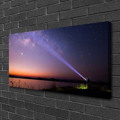 Slika na platnu Star night milky way