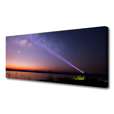Slika na platnu Star night milky way