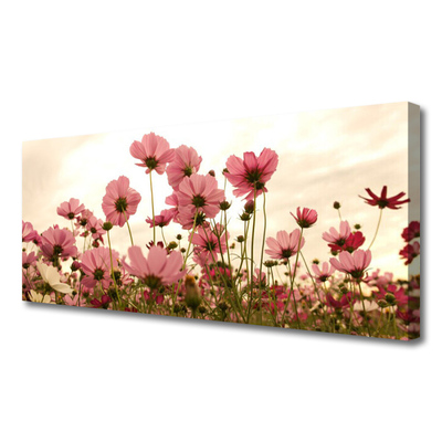 Slika na platnu Cvetje wildflowers travnik narava