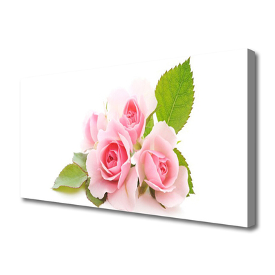 Slika na platnu Roses flowers narava rastlin