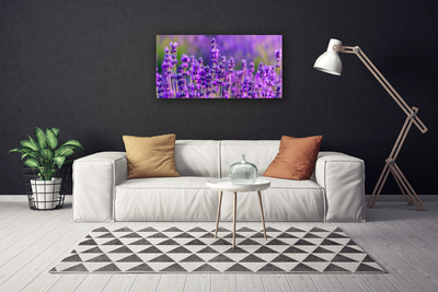 Slika na platnu Purple lavender polje