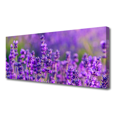 Slika na platnu Purple lavender polje