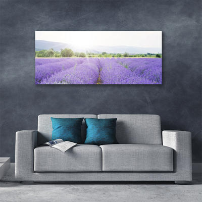 Slika na platnu Lavender polje travnik narava