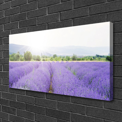 Slika na platnu Lavender polje travnik narava