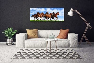 Slika na platnu Galopu konji na paši
