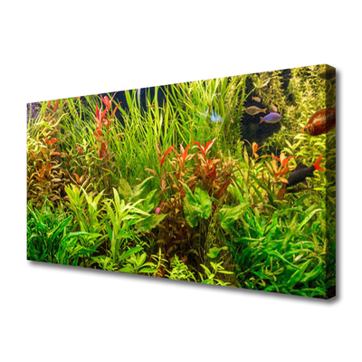 Slika na platnu Aquarium fish rastline