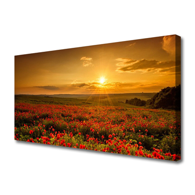 Slika na platnu Makovo polje sunset travnik