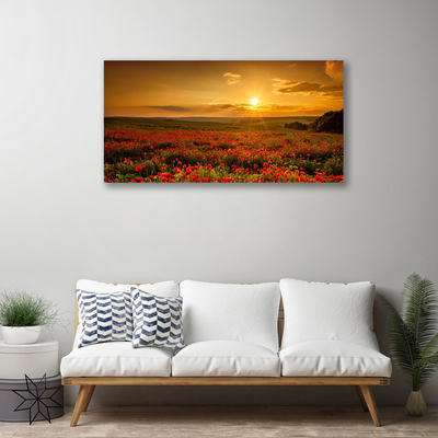 Slika na platnu Makovo polje sunset travnik