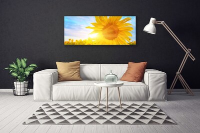 Slika na platnu Sončnica sun flower