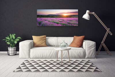 Slika na platnu West travnik lavender polja