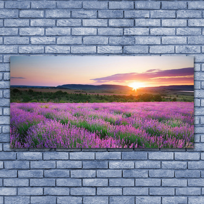 Slika na platnu West travnik lavender polja