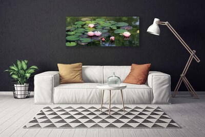 Slika na platnu Voda lily pond narava