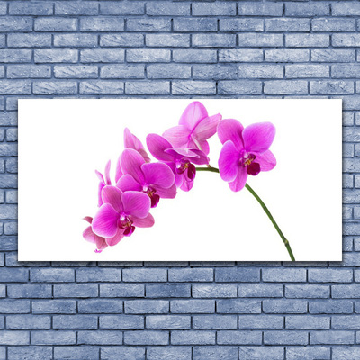 Slika na platnu Orchid cvet orhideje