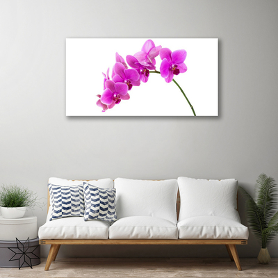 Slika na platnu Orchid cvet orhideje