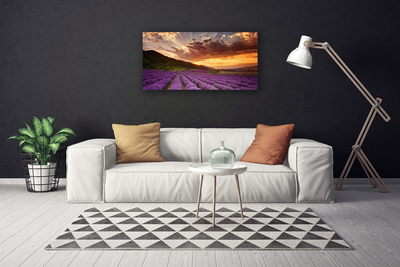 Slika na platnu Področje lavender sunset