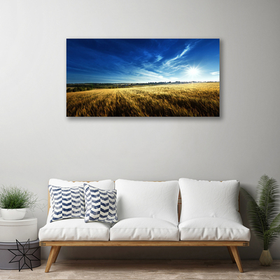 Slika na platnu Pšenična polja sun landscape