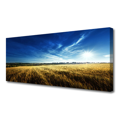 Slika na platnu Pšenična polja sun landscape