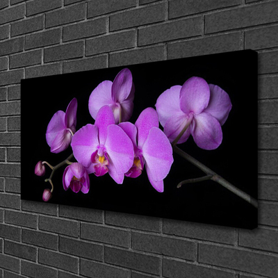 Slika na platnu Orhideja orhideje
