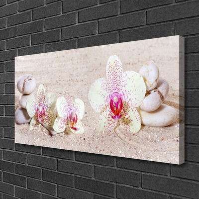 Slika na platnu Orchid orchid sand