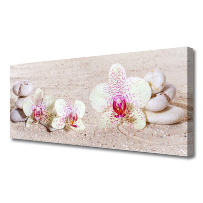 Slika na platnu Orchid orchid sand
