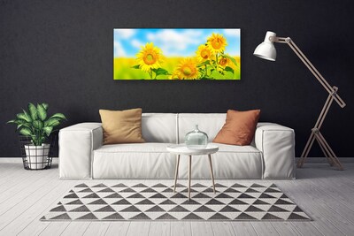 Slika na platnu Sončnica rože narava