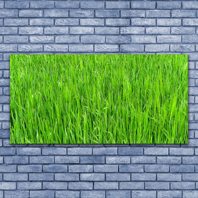 Slika na platnu Narava green grass turf