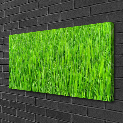 Slika na platnu Narava green grass turf