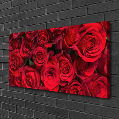 Slika na platnu Red roses flowers narava