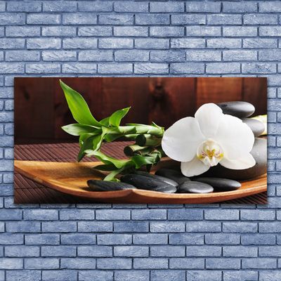 Slika na platnu Bambus zen bela orhideja