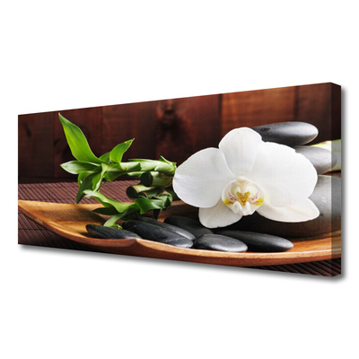 Slika na platnu Bambus zen bela orhideja
