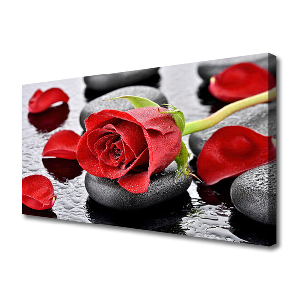 Slika na platnu Red rose flower