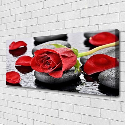 Slika na platnu Red rose flower