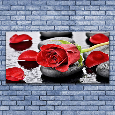 Slika na platnu Red rose flower