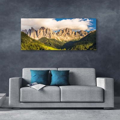 Slika na platnu Vrhovi gore oblaki gozd travnik