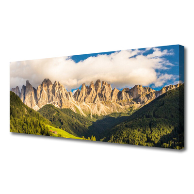 Slika na platnu Vrhovi gore oblaki gozd travnik