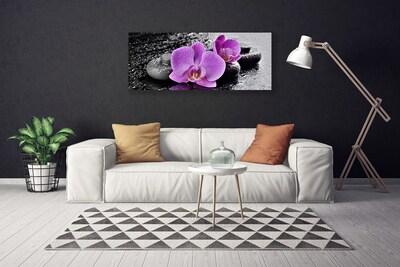 Slika na platnu Orchid cvetje orchid spa