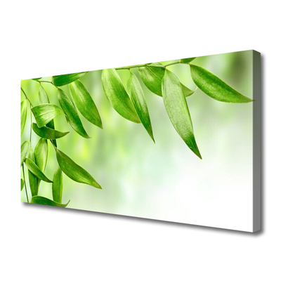 Slika na platnu Green leaves narava