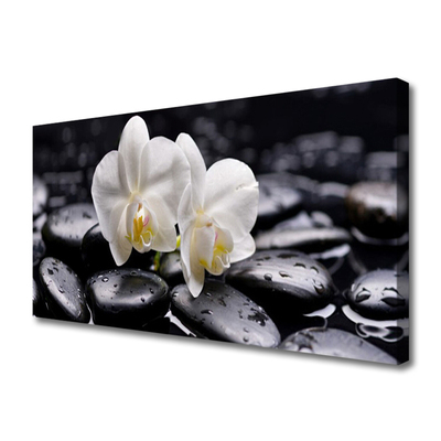 Slika na platnu Zen bela orchid spa