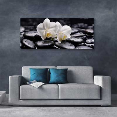 Slika na platnu Zen bela orchid spa