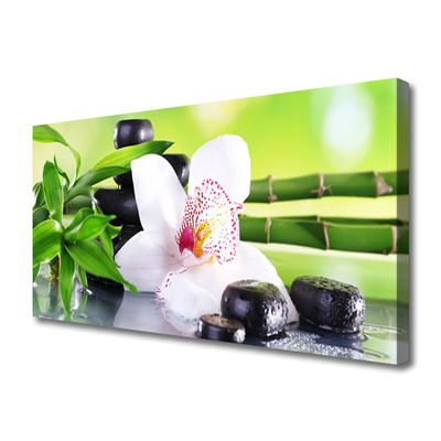 Slika na platnu Orchid bamboo listi