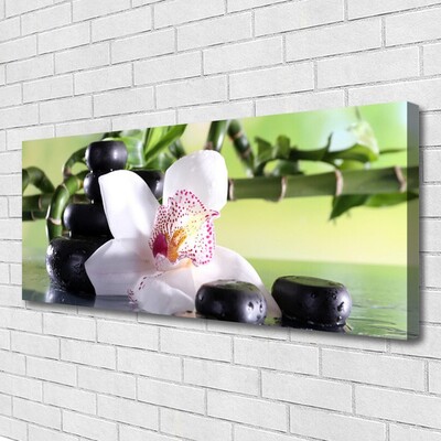 Slika na platnu Bamboo orchid stones