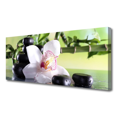 Slika na platnu Bamboo orchid stones