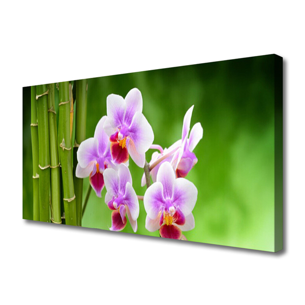 Slika na platnu Bamboo orchid cvetje zen