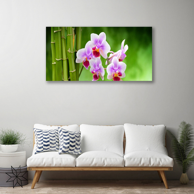 Slika na platnu Bamboo orchid cvetje zen